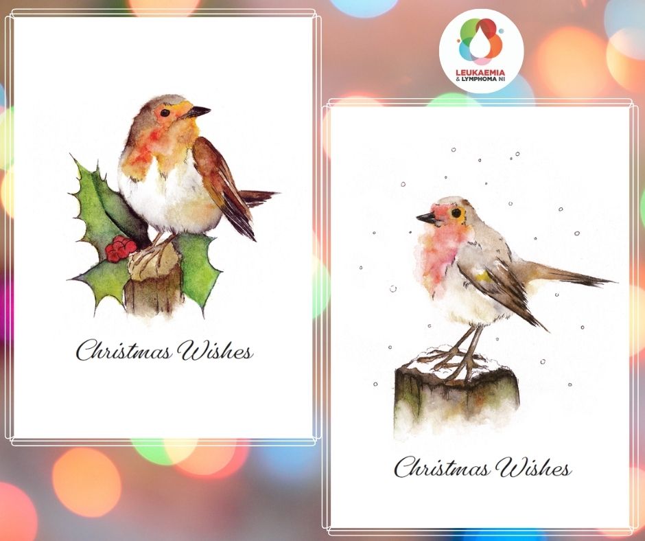 Christmas Cards – Robin design