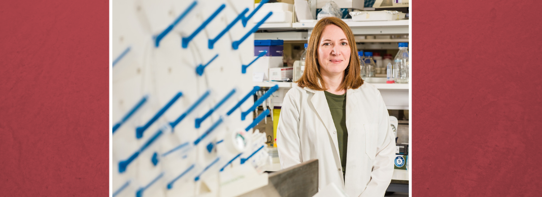 Featured Image for Love Letters – Lisa Crawford